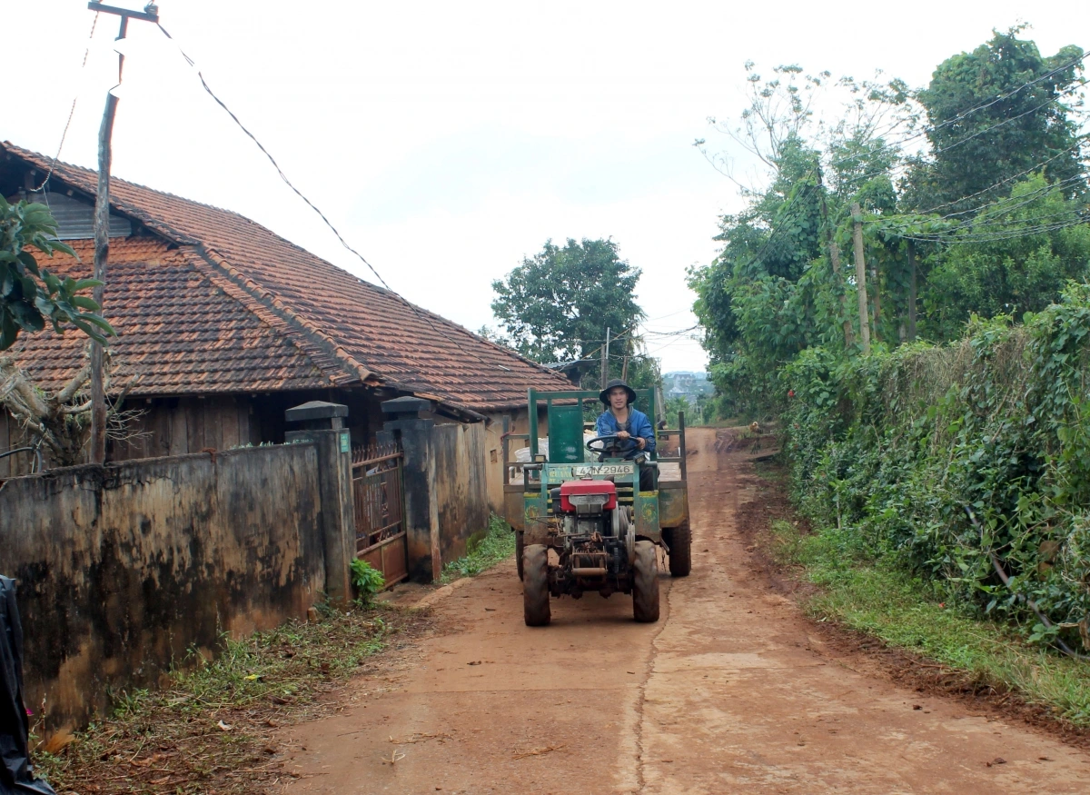 Dom mbang radaih pajeng bak kadung kophi that