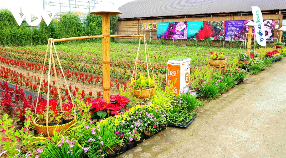 Sa labik piah tuai damuai mai rivang, check-in di Gah Pei Lodge