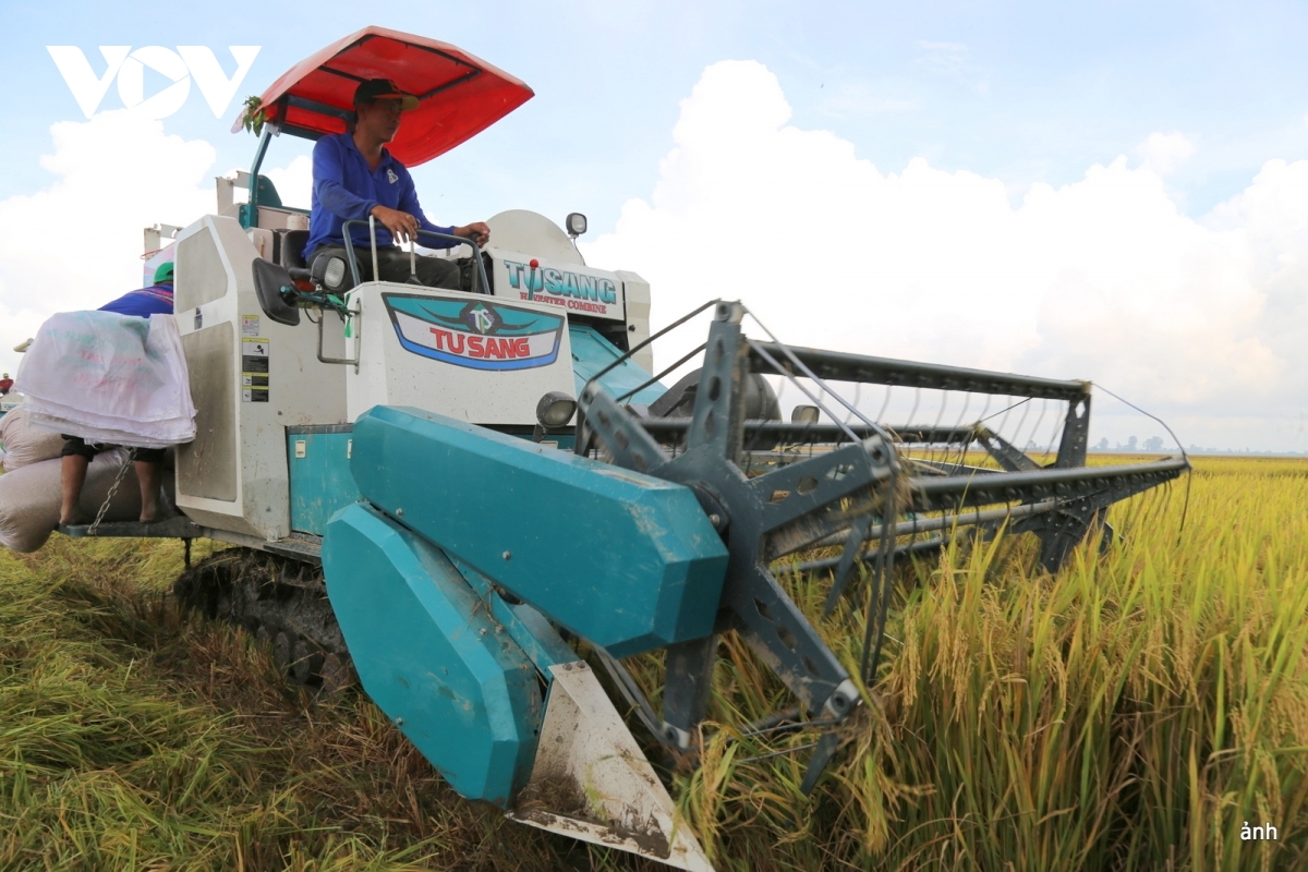 Pandar ilamo kong nghe dalam pala drak