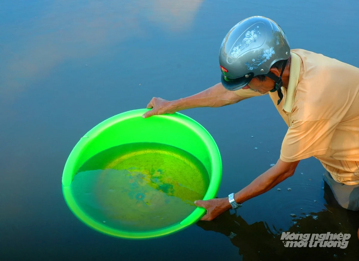 Pasang iek ia danao raong hadang