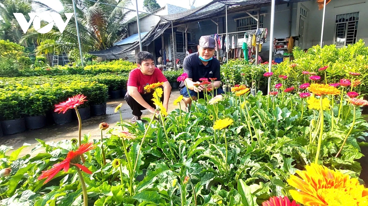 Festival bangu ngak gheih mekre sa Dec, parang labaih 1.000 pajaih bangu