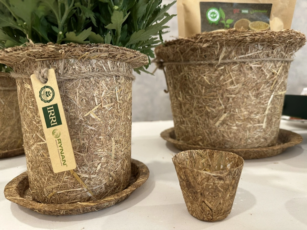 paglaong yaom kaom meng pong nerang