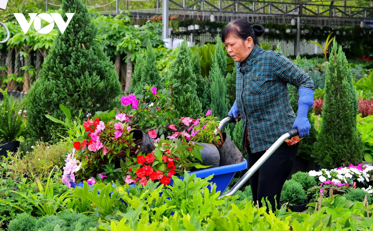 Sang bein di Palei bangu Sa Dec jal val srap gap ka Festival Bangu ngak gheih mekre thun 2025