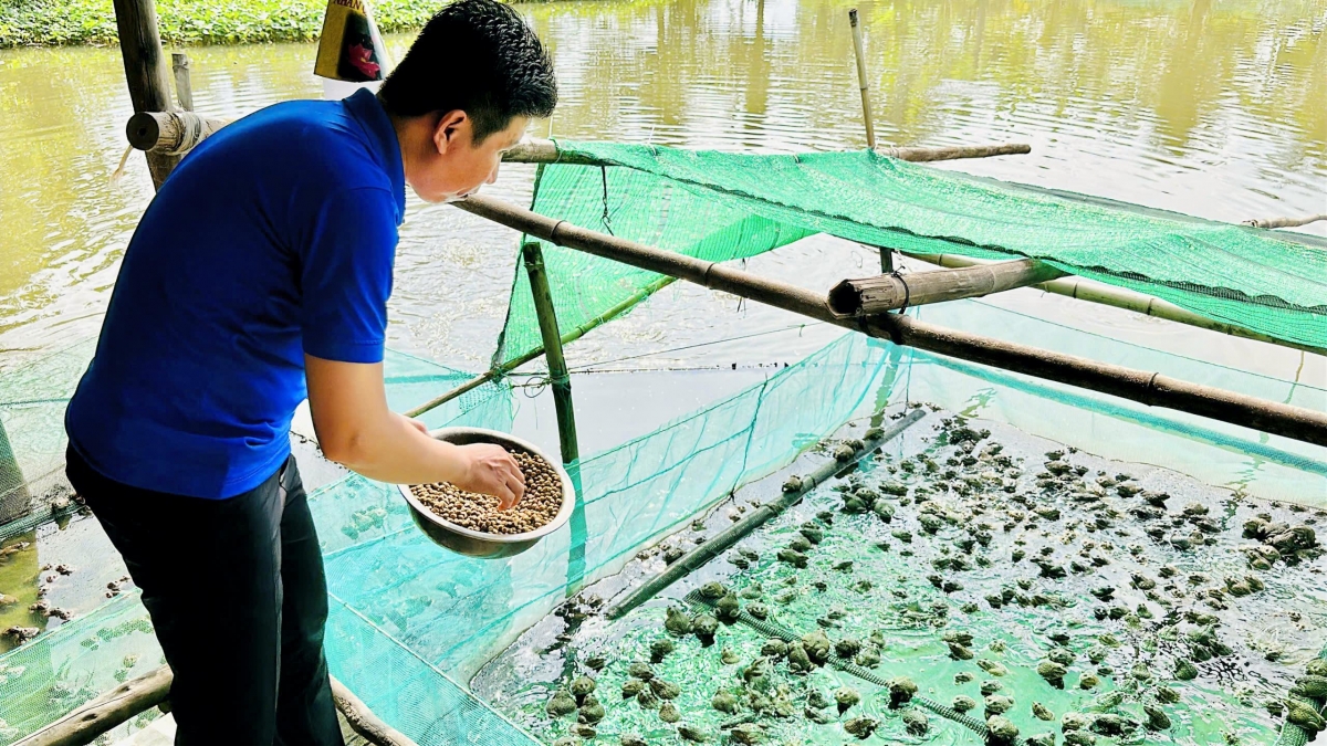Anh Tình thành công với mô hình kinh tế tổng hợp