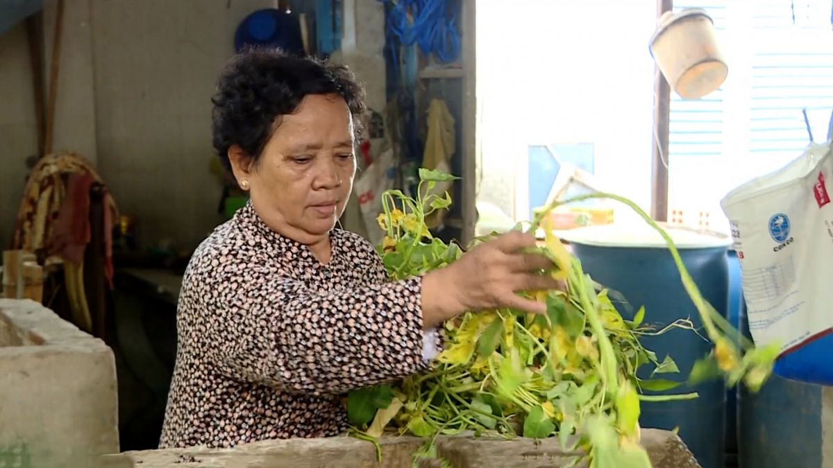 Bà Kim Thị Sa Quân - người tiên phong gầy dựng đàn heo sinh sản từ vốn tín dụng chính sách