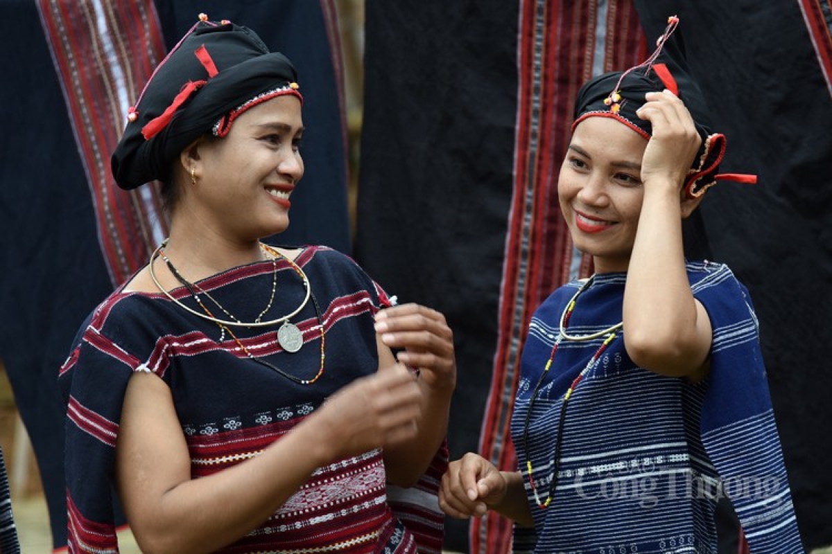 Rùp ai bơh tàm internet