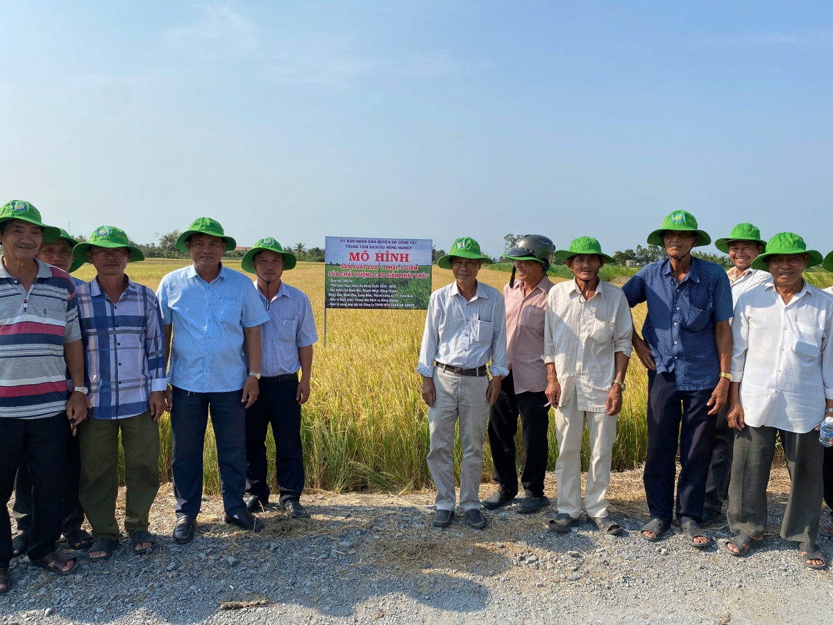 Các tập thể, cá nhân tham gia mô hình liên kết sản xuất lúa công nghệ cao, giảm phát thải tại xã Long Bình, tỉnh Đồng Tháp