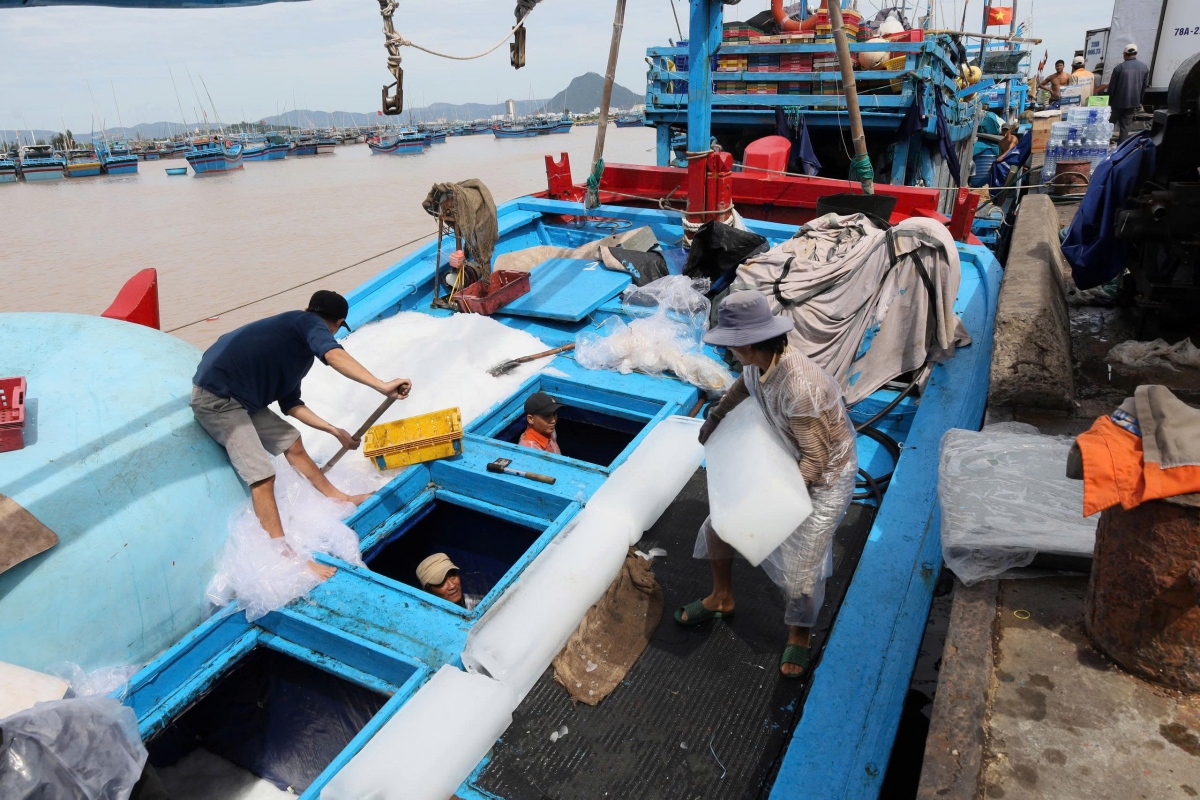 Kon pơlei jang ka Đắk Lắk oei hơmet ăn ‘măng lĕch tơ̆ đak dơsĭ mă blŭng vă rôp yâu ka, đơ̆ng rŏng kơ ‘mi kial hơbŭt