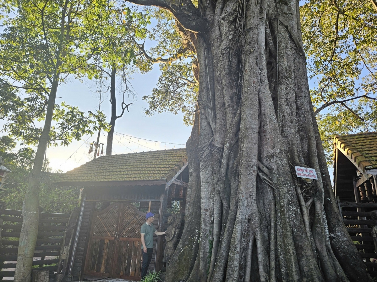 Dùl tàm ală chi jrê rơhiang sơnam geh làng bol ƀòn Ia Nueng sền gàr