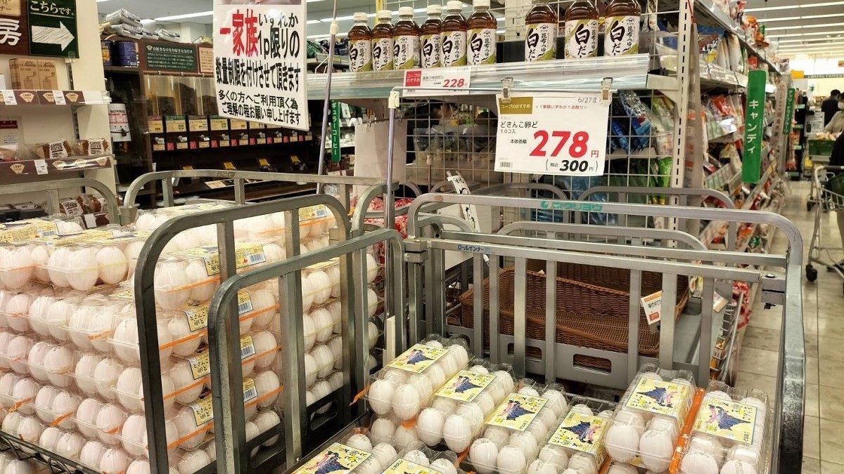 Thêm một địa phương của Nhật Bản báo cáo về đợt bùng phát cúm gia cầm độc lực cao trong mùa