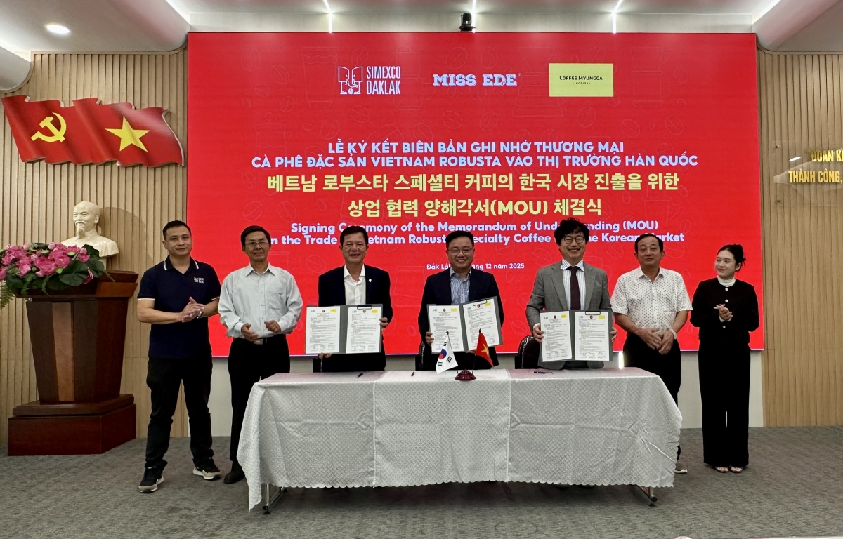 Wa Ahn Myung-kyu, Kruanh Hiệp hội cà phê Daeg (DCA) uănh lah prêh nău nsrôih bah nsum mpôl cà phê kah Robusta Việt Nam
 