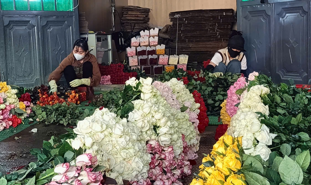 Săc rwah bơkàu hồng nàng jàu năc blơi phan in