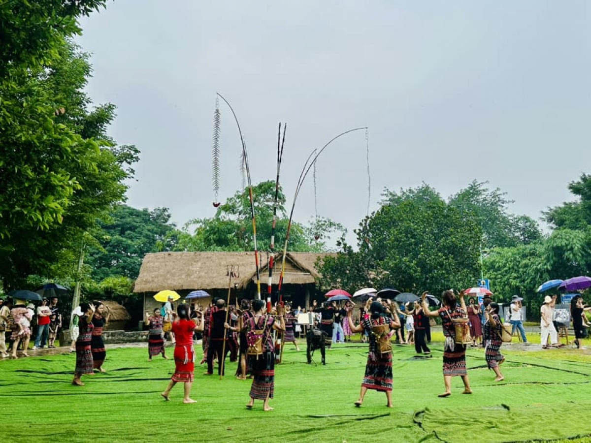 Rùp ai bơh tàm internet