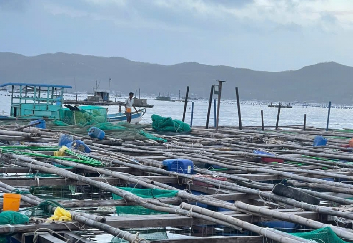 Kon pơlei tơ̆ Ving Xuân Đài, Đắk Lắk hơmet ăn pơdrao lơ̆m pơyan rong hơdang grên jơk
