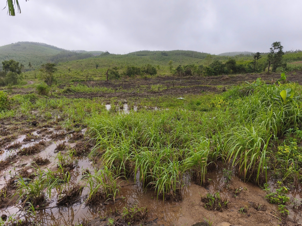 Kual lŏn mơnai arăng ruah pơdong anih dŏ phrâo brơi 35 boh sang anŏ să Tuy An Tây