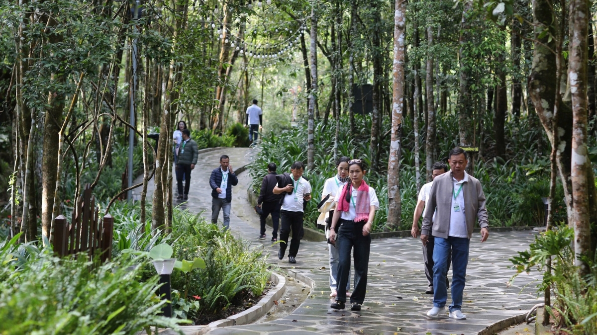 -Klei bi hmô đĭ kyar mơ̆ng Việt Nam mă anak mnuih jing mta kñăm, mđĭ kyar hơĭt kjăp wăl hdĭp mda.