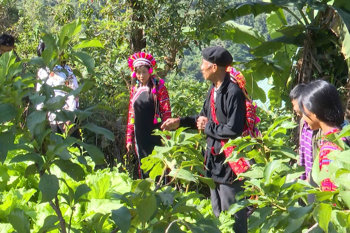 Ông Pu lên tận nương hướng dẫn người dân áp dụng khoa học kỹ thuật vào sản xuất với mong muốn mọi gia đình đủ no, đủ mặc