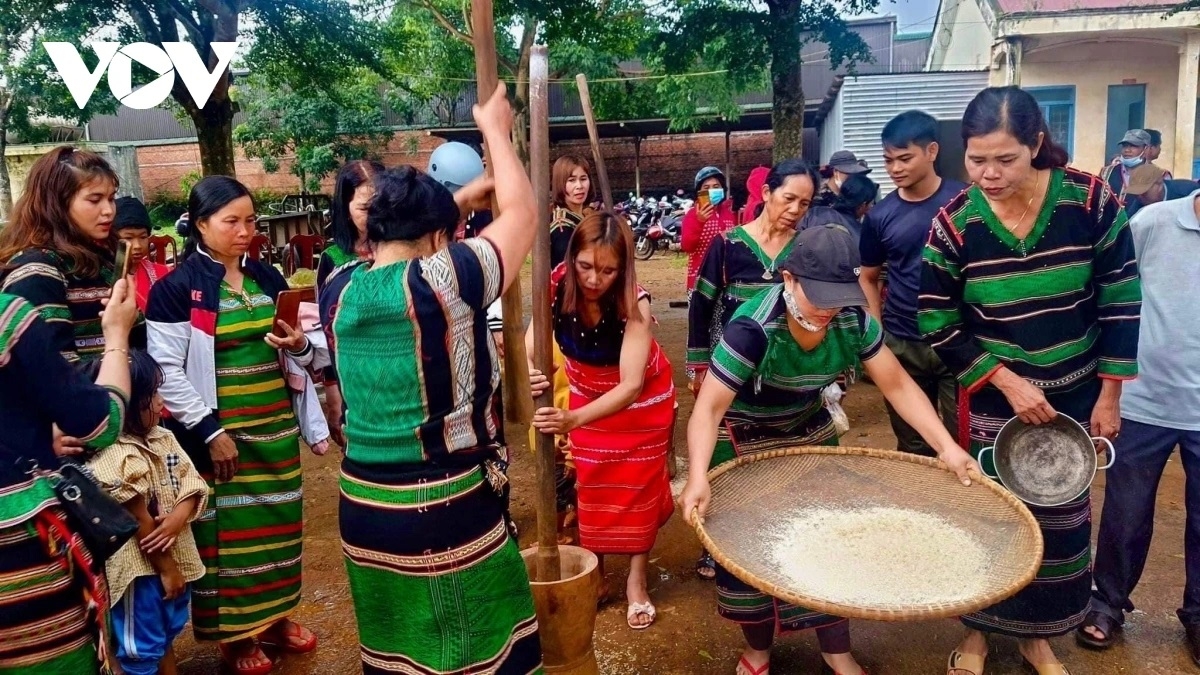 
Rùp ai bơh tàm internet