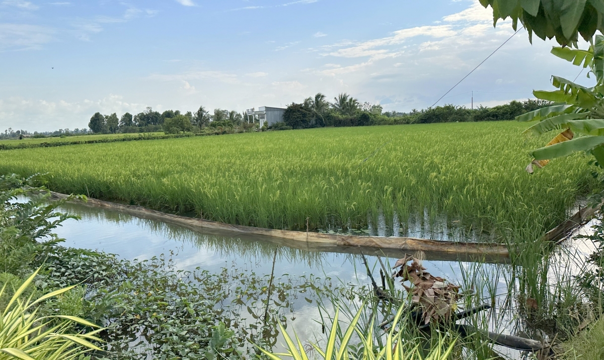 Người dân phấn khởi, có điều kiện vươn lên, nhiều hộ đã thoát nghèo và ổn định cuộc sống.