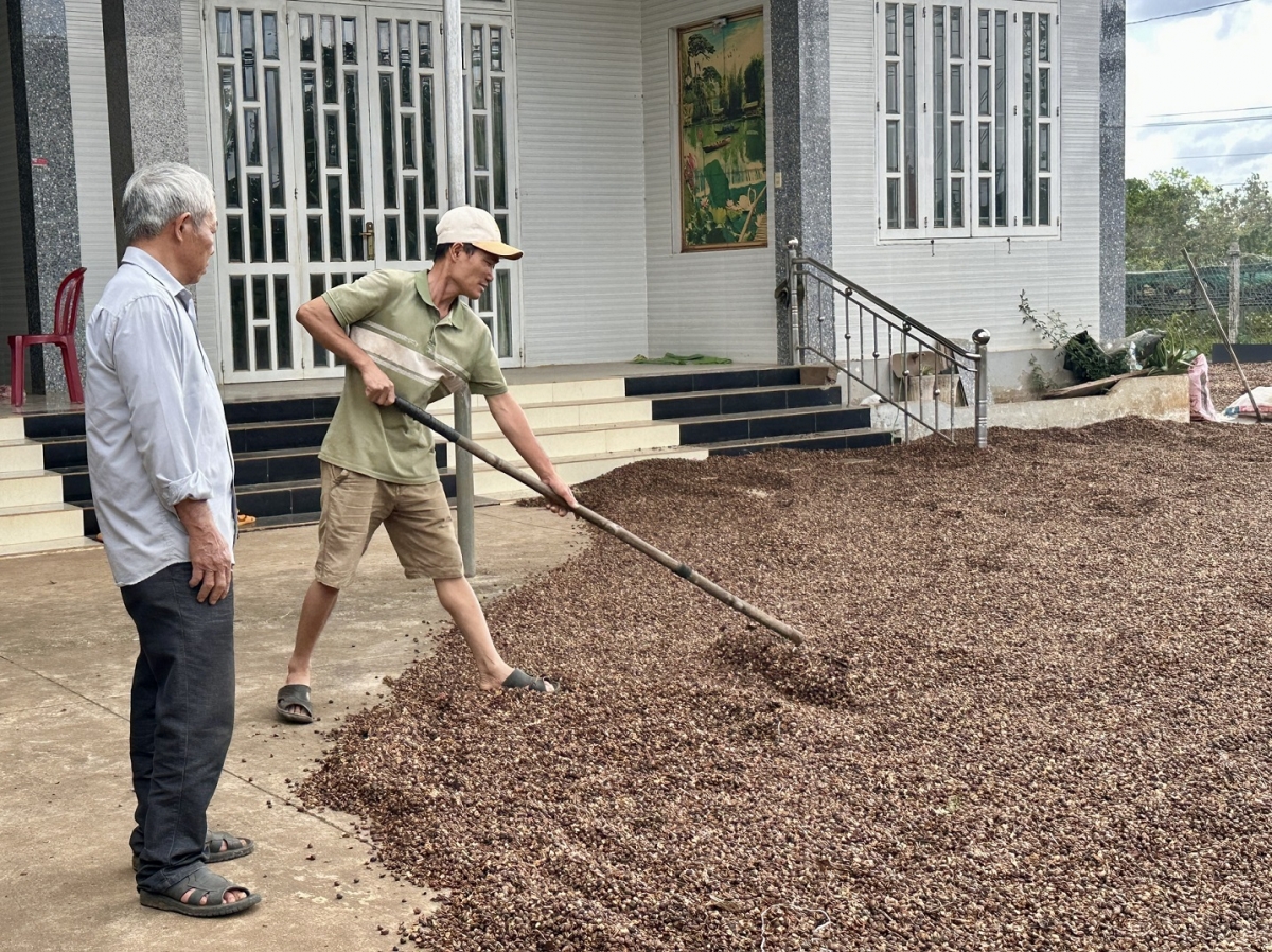 Cau geh bơngă pin dờn tàm càr Dăk Lăk gam pơgồp bal tàm broă gàr kơ̆ “nùs nhơm làng bol”