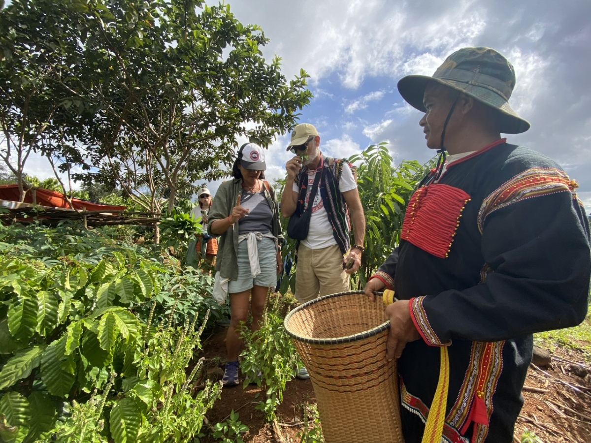 
Tàm mìr kơphê rơ̆p geh nha bùm blàng, blơn bơtang, nha é... nàng trŭ gơm ală phan sa bơkah pơn rơ