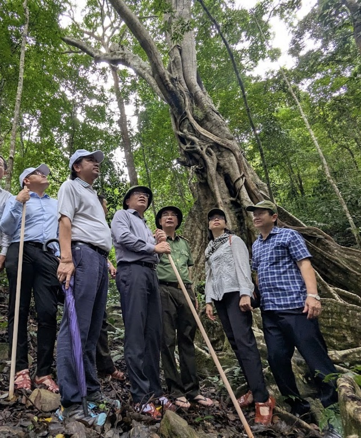 
Ồng Phạm Anh Tuấn – Củ tịc Anih duh broă Làng bol càr Gia Lai (ơm dơ̆ 3 bơh đah kiau) còp brê Dà lơgar Kon Ka Kinh