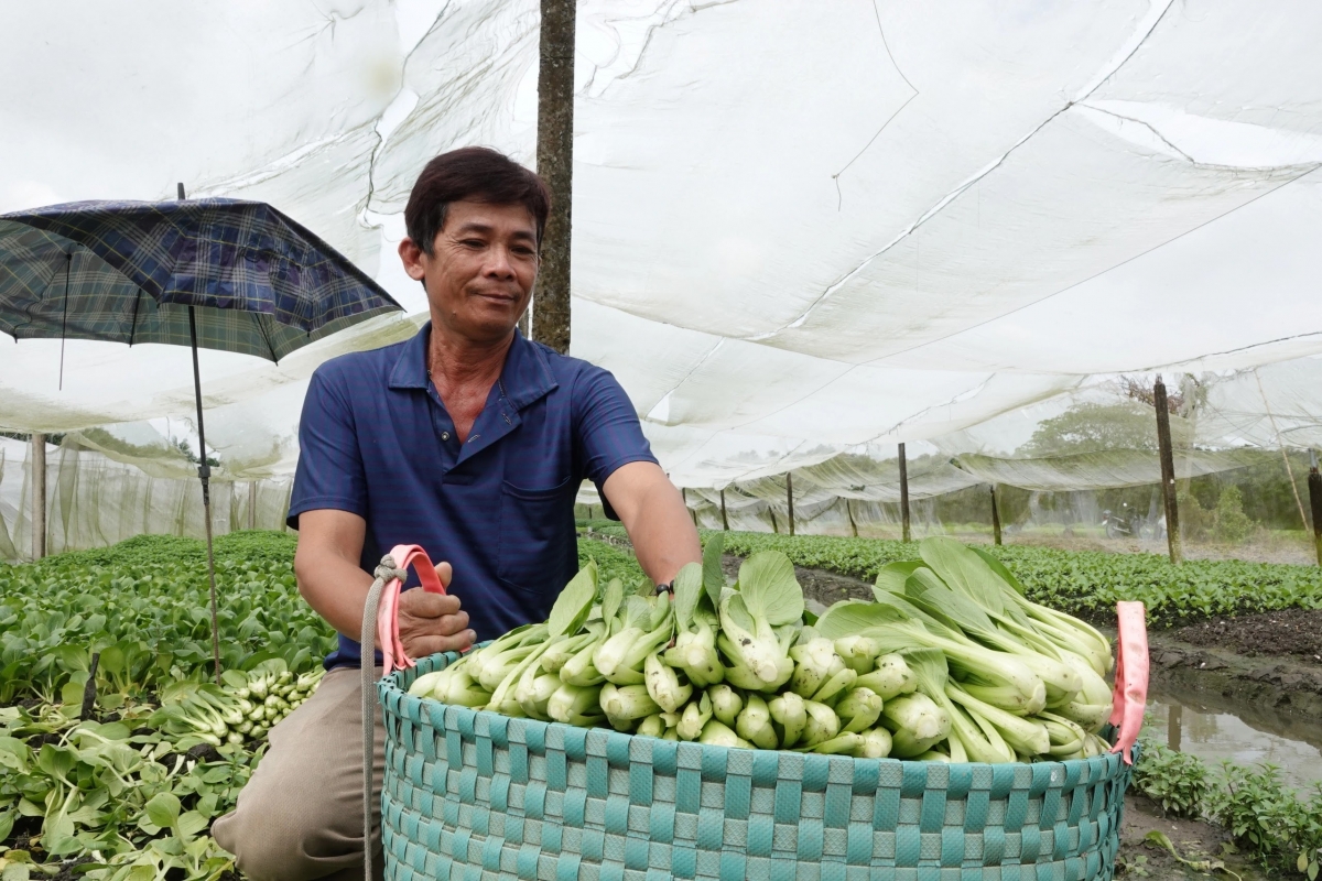  Ong Phạm Văn Lắm (umo 58 thun, daok di labik 3, phường Hưng Phú, Ban Can Tho)