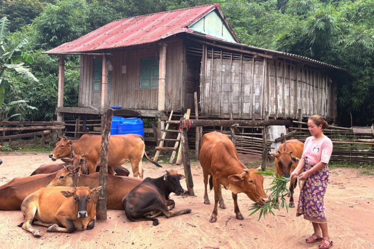 Đến cuối năm 2025, tổng dư nợ tín dụng chính sách tại Phòng giao dịch Ngân hàng Chính sách xã hội Bố Trạch đạt hơn 1.000 tỷ đồng.