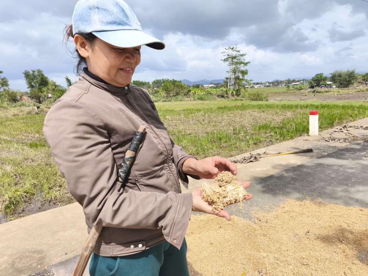 Abih bang pơjeh pơdai čă akha brŭ hĭ ƀu thâo rah pơtĕm dong tah