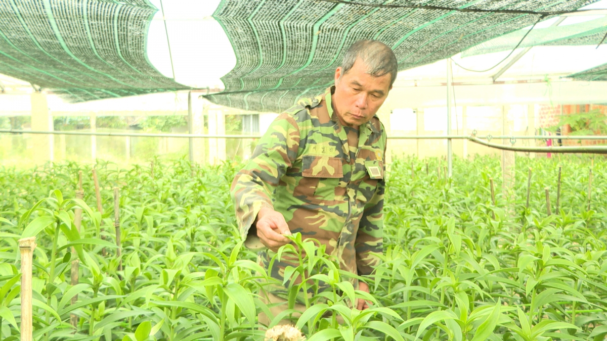 Ông Nguyễn Ngọc Tế ở thôn 3, xã A Lưới 2 chăm sóc vườn hoa của gia đình