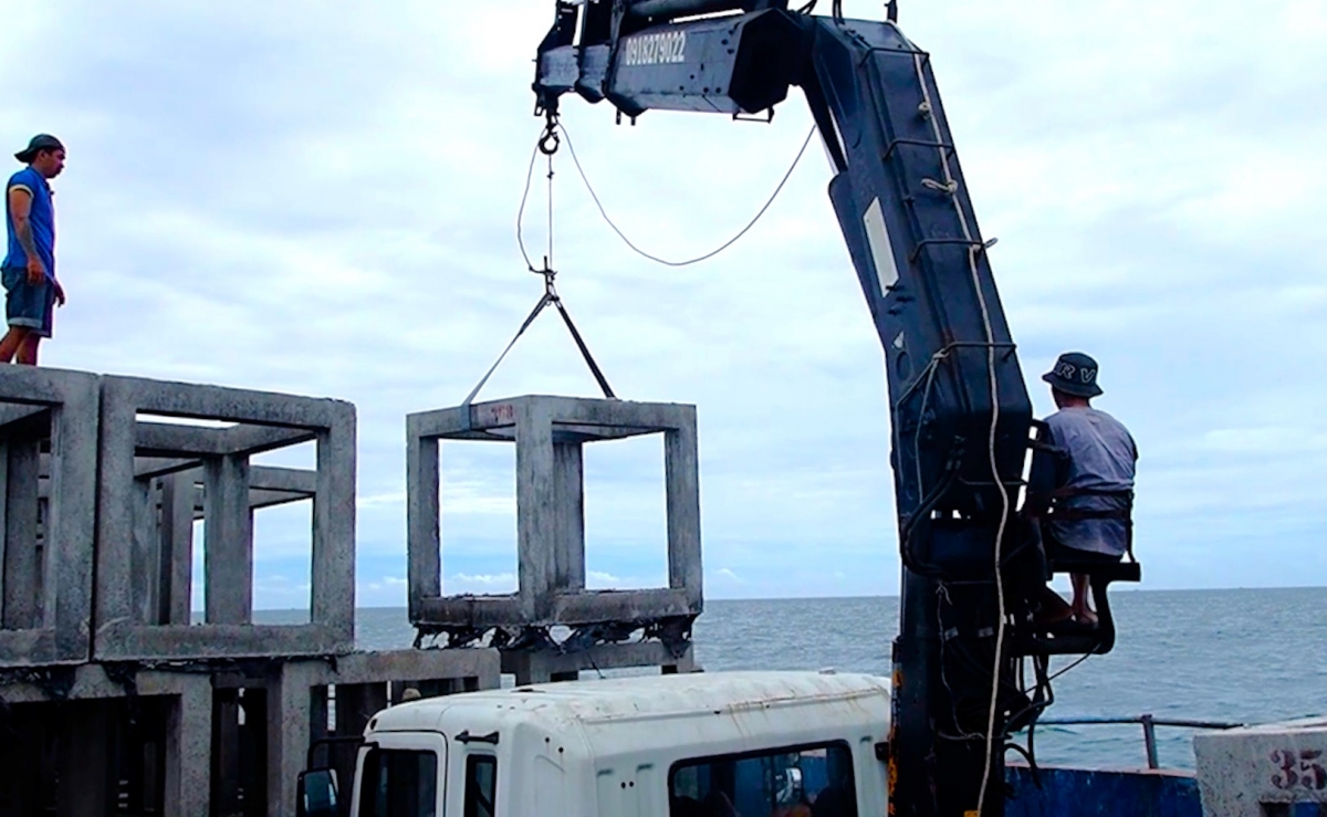 Trước đó, tỉnh Cà Mau đã thực hiện thả rạn nhân tạo để làm nơi trú ngụ cho hải sản sinh sản