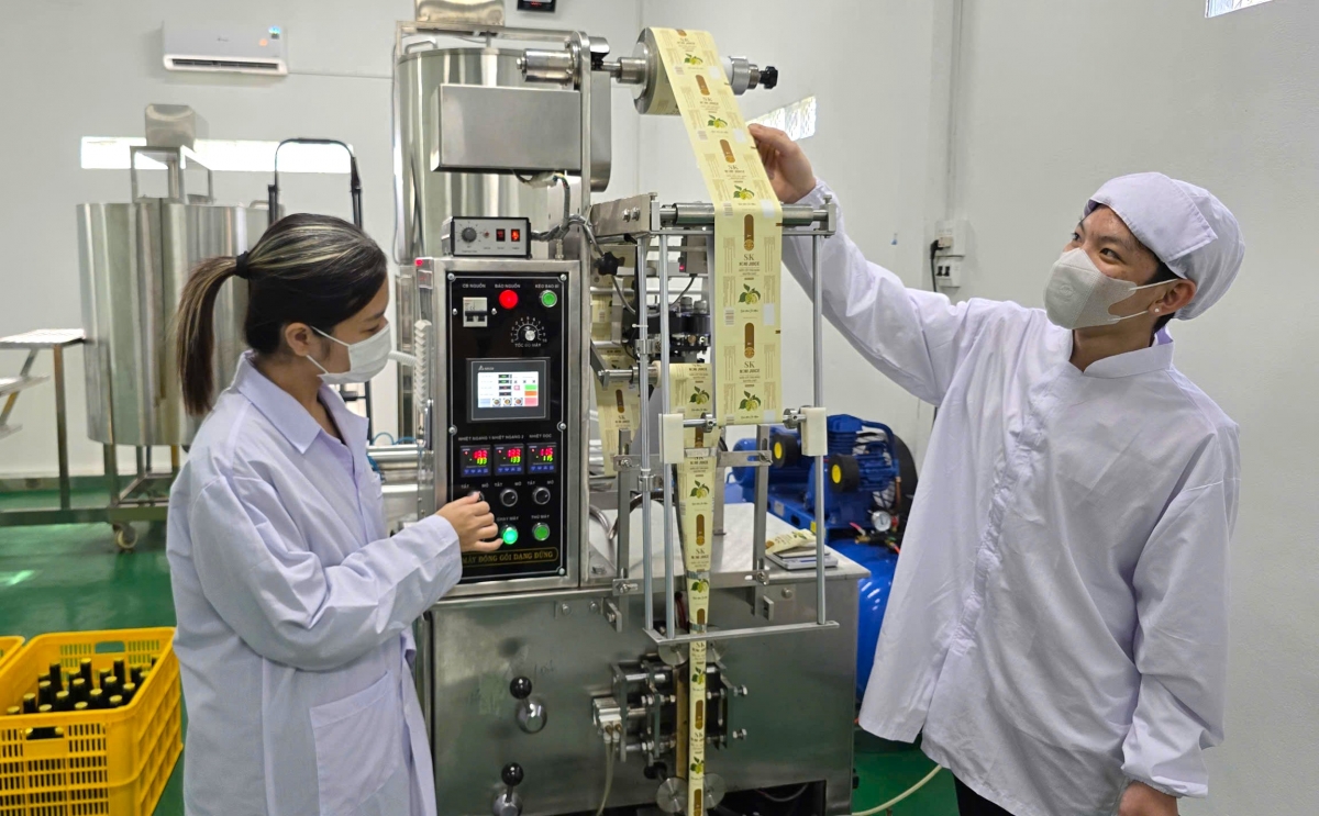 Hiện phần lớn công đoạn sản xuất nước cốt nhàu đã được anh Chương áp dụng máy móc