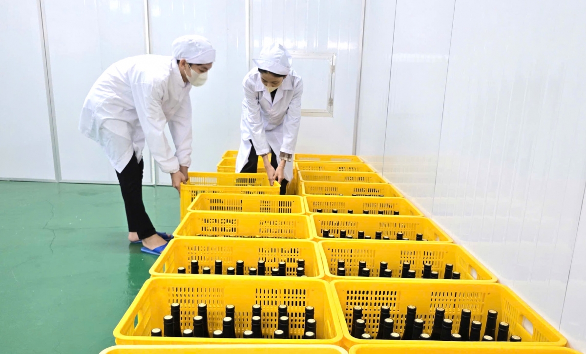 Anh Chương đang đưa ra thị trường 2 sản phẩm chính dạng đóng chai và dạng hộp