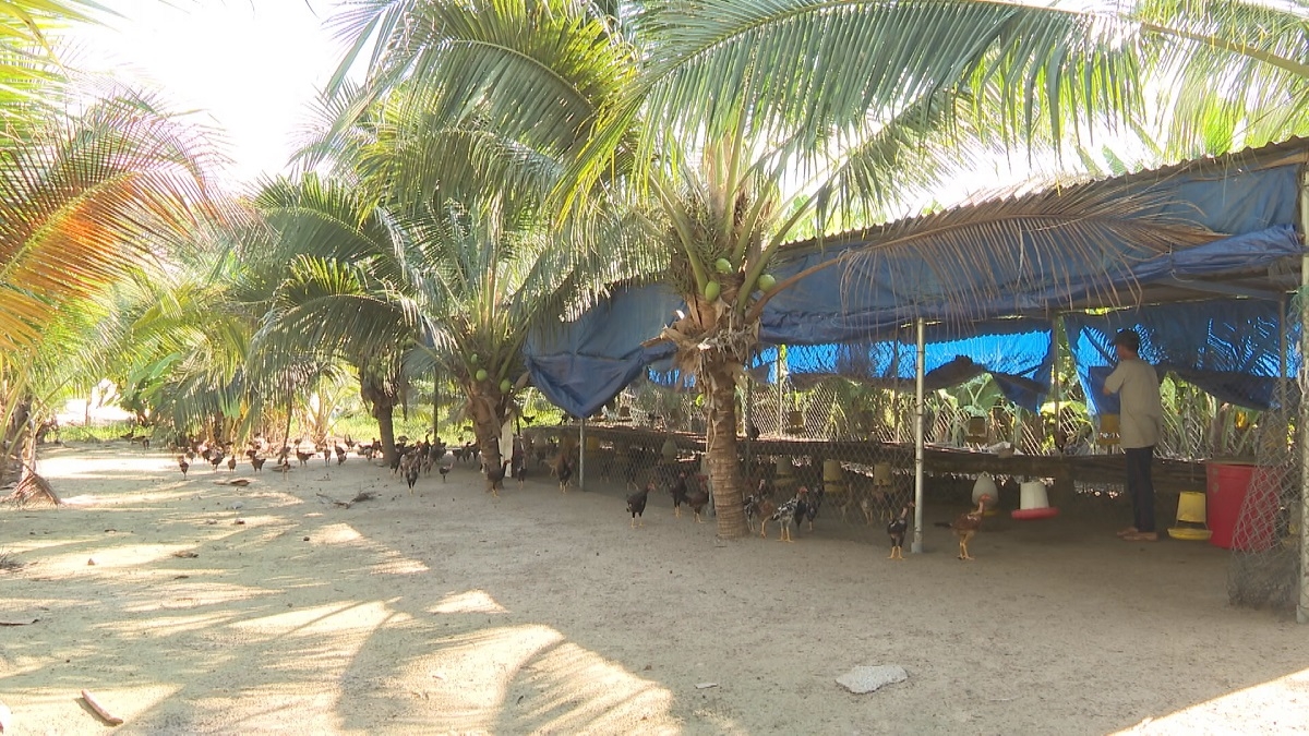 
Trong jang rong iĕr hơla ‘long gao đơ̆ng unh hnam ‘nhŏng Lê Văn Thuận