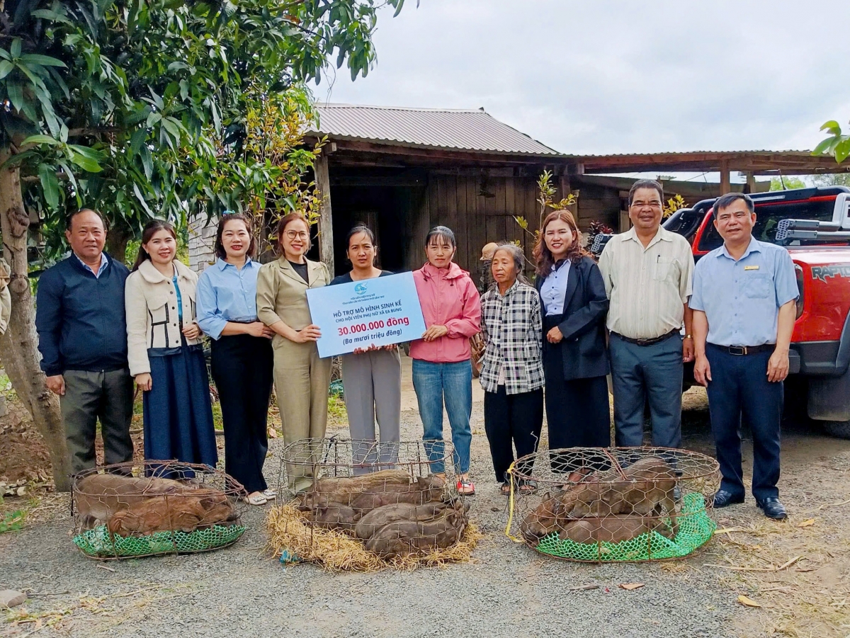 Khul pơlir đah kơmơi tơring čar Dak Lak jao 24 hơbô̆ bruă bơwih ƀong đah kơmơi hơdôm să kual giăm guai