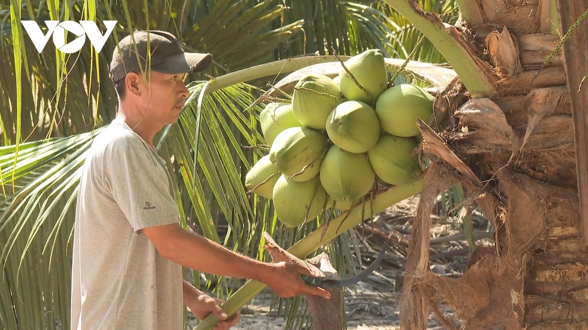 Pajaih li-u xiem hijao patagok biak siam angaok bhum taneh pablak cuah