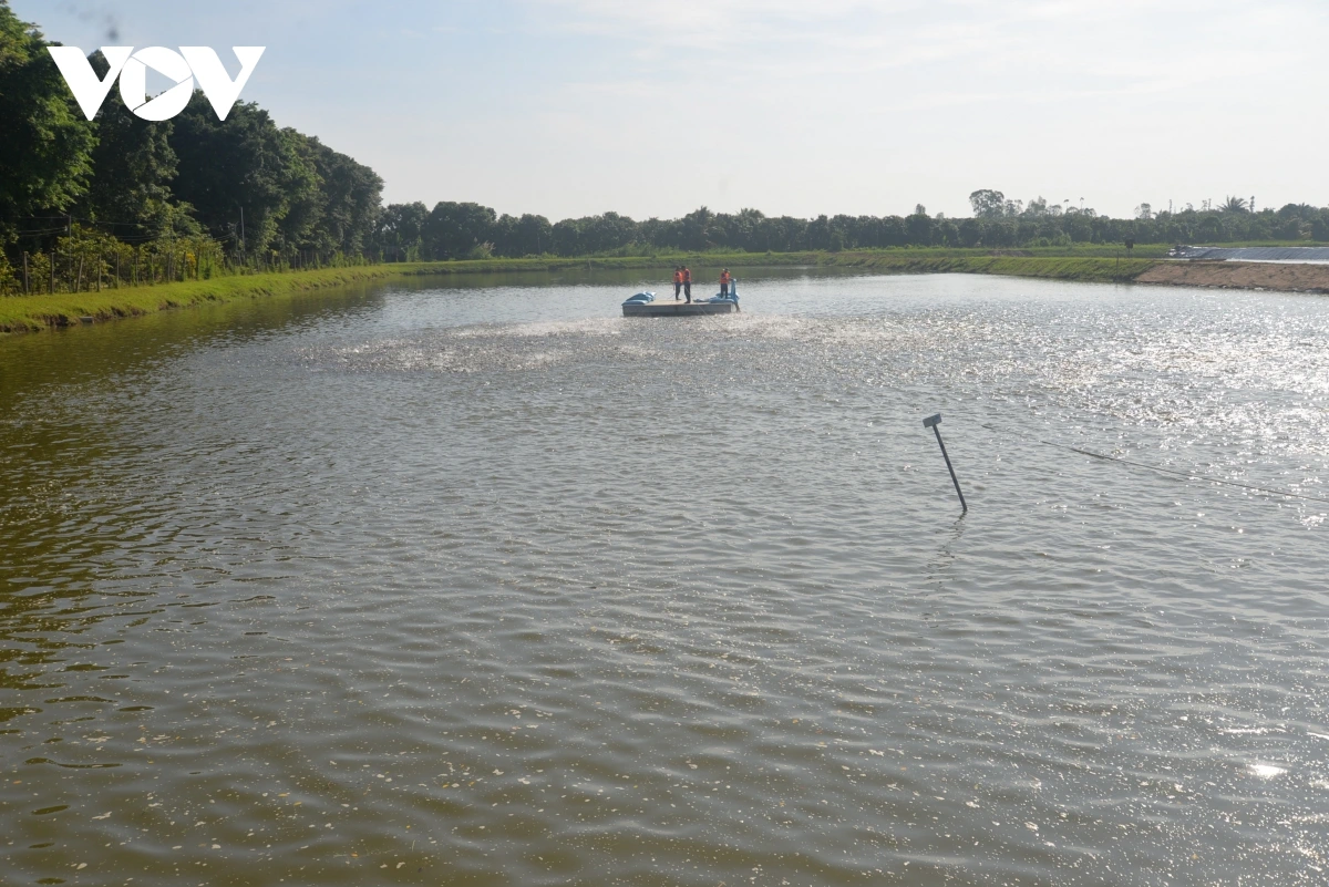 Langyah bruk gar tavak ka drei pajaih, padang veik bruk ngak mbang tui majam