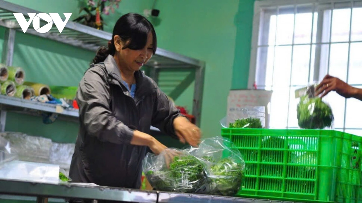 Njam hijao hu ngak hacih, neh rabha blaoh papaok tui harak kakei blei