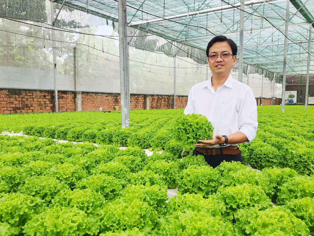 Sa-ai Lâm Ngọc Tuấn, Yam ndok HTX Ngak nong Tuấn Ngọc