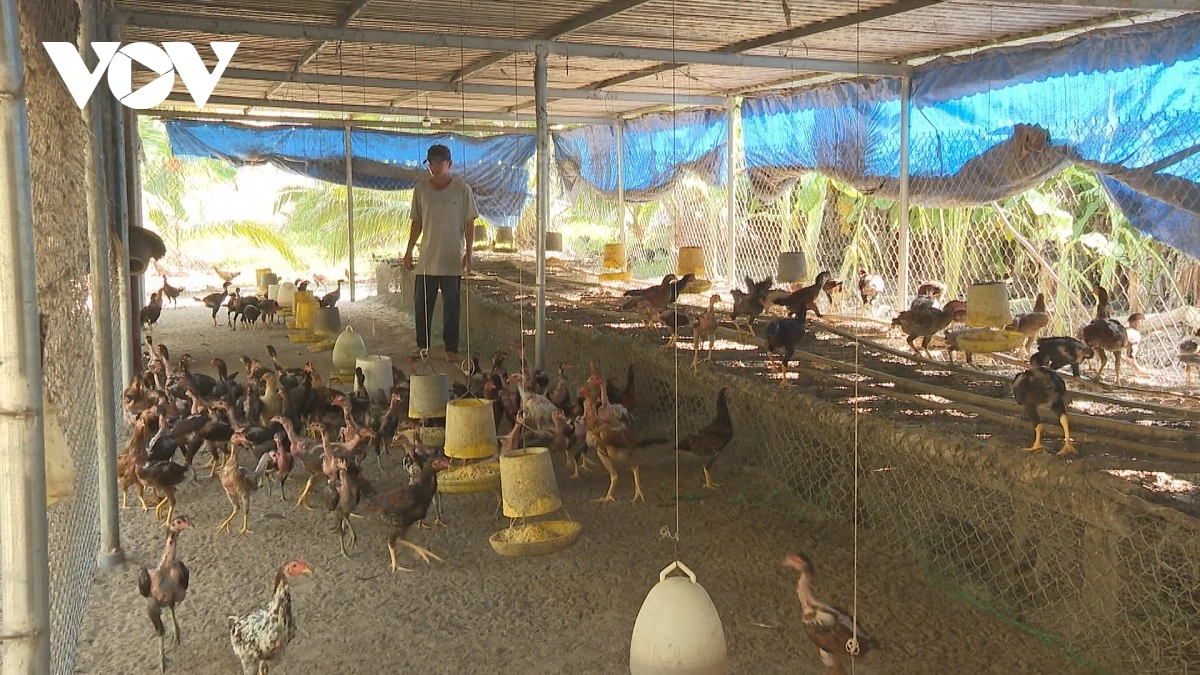 Tapol menuk di baoh sang sa-ai Lê Văn Thuận brei siam lagaih kinh te biak glaong