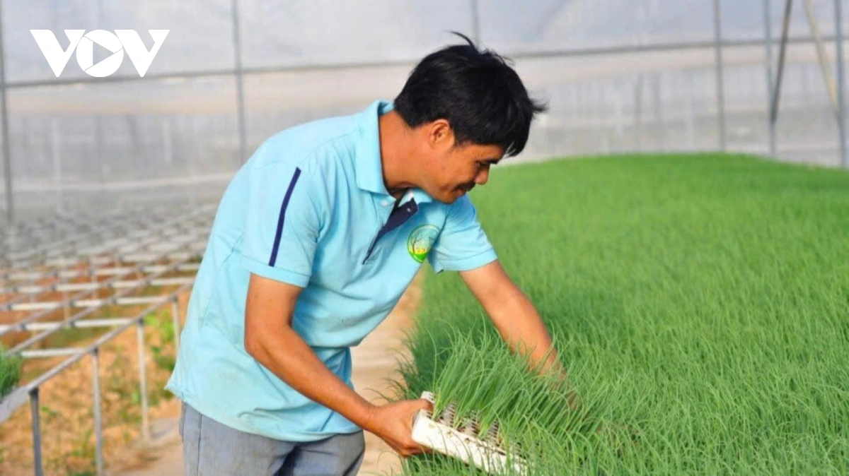 Phun akaok lasun hu pala dalam sang halam hanyol