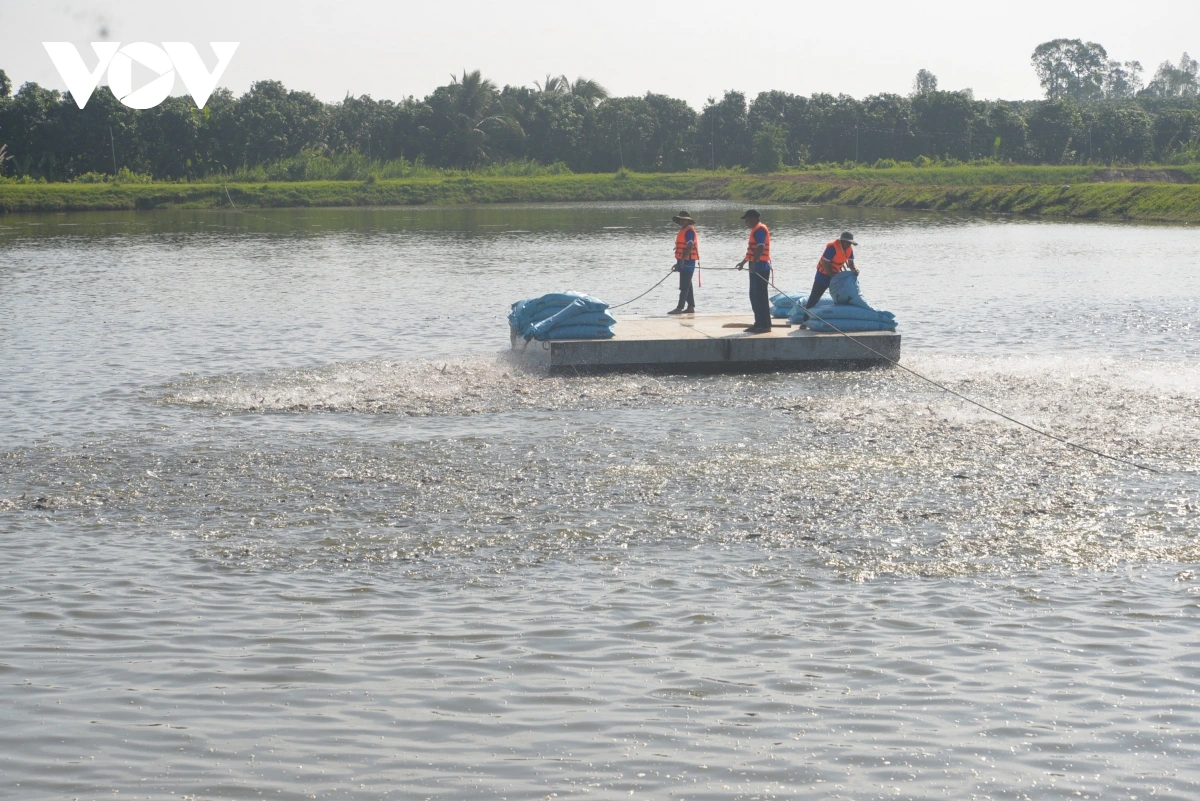Piah gah ikan pra patagok dalam tukvak 2026 - 2030 mek hu tanut ye brei hu bruk daong di dom gah ngak mbang pablei salih saong Karja