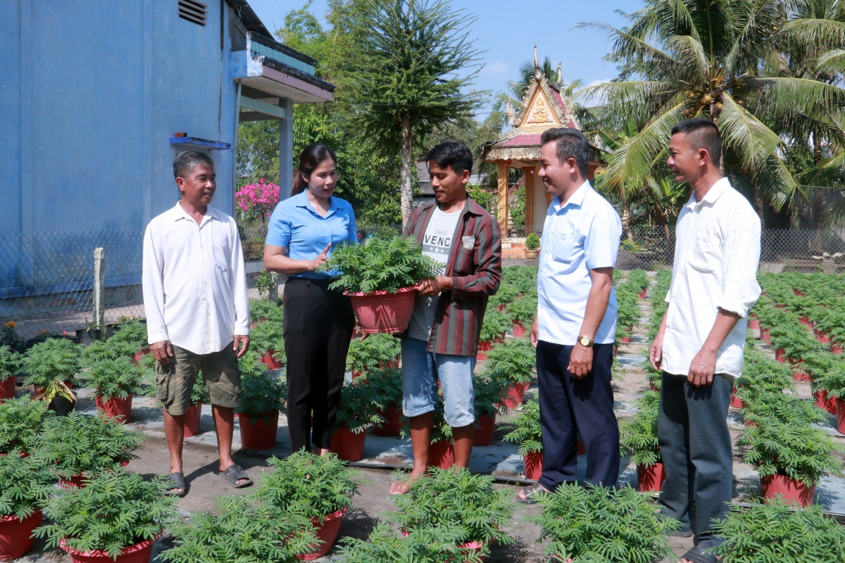 Anh Thạch Sô Ni chia sẻ niềm vui khi hoa tết phát triển tốt