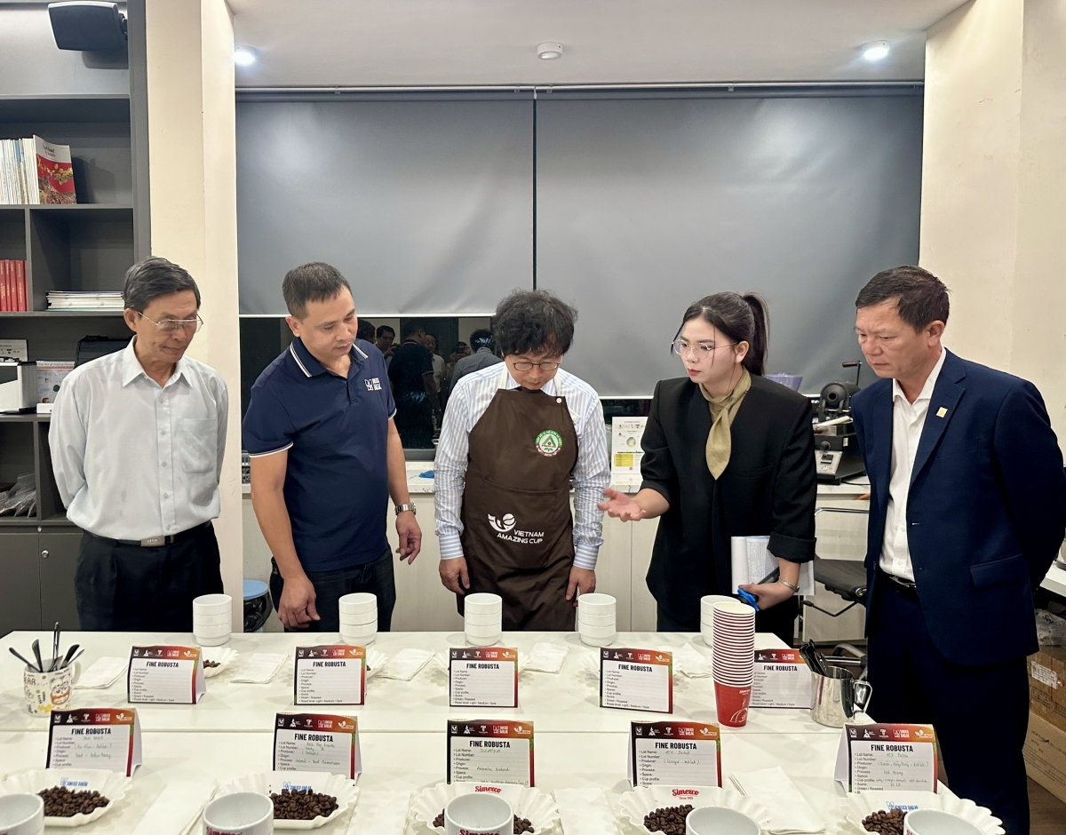 Kông ti Simexco Dak Lăk brơi mơñum lăng djŏp mơta kơphê Robusta jơman mơ̆ng tơring kơ gơyut gơyâo jar kmar