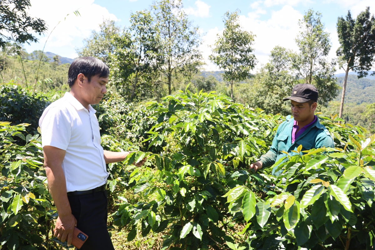 Kăn ƀô̆ ngăn Ƀơrô cheăng kâ cheăm Măng Ri hnê kuăn pơlê mơnhông pêt kơphế