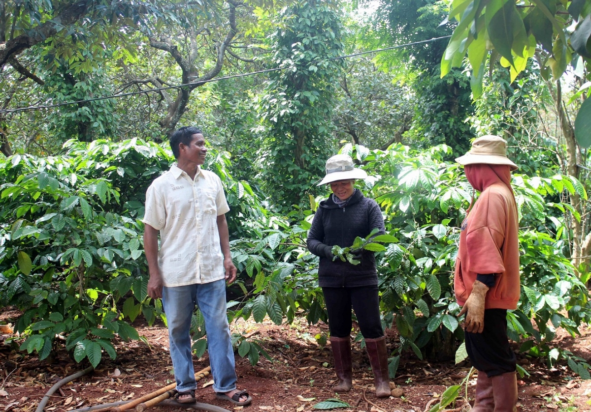 Kuăn pơlê rế hía rế pơhlêh túa pêt, rak ngăn kơphế krá ton