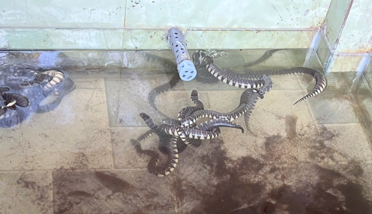 Đoàn Thanh niên đặc biệt chú trọng hỗ trợ thanh niên khởi nghiệp, lập nghiệp.