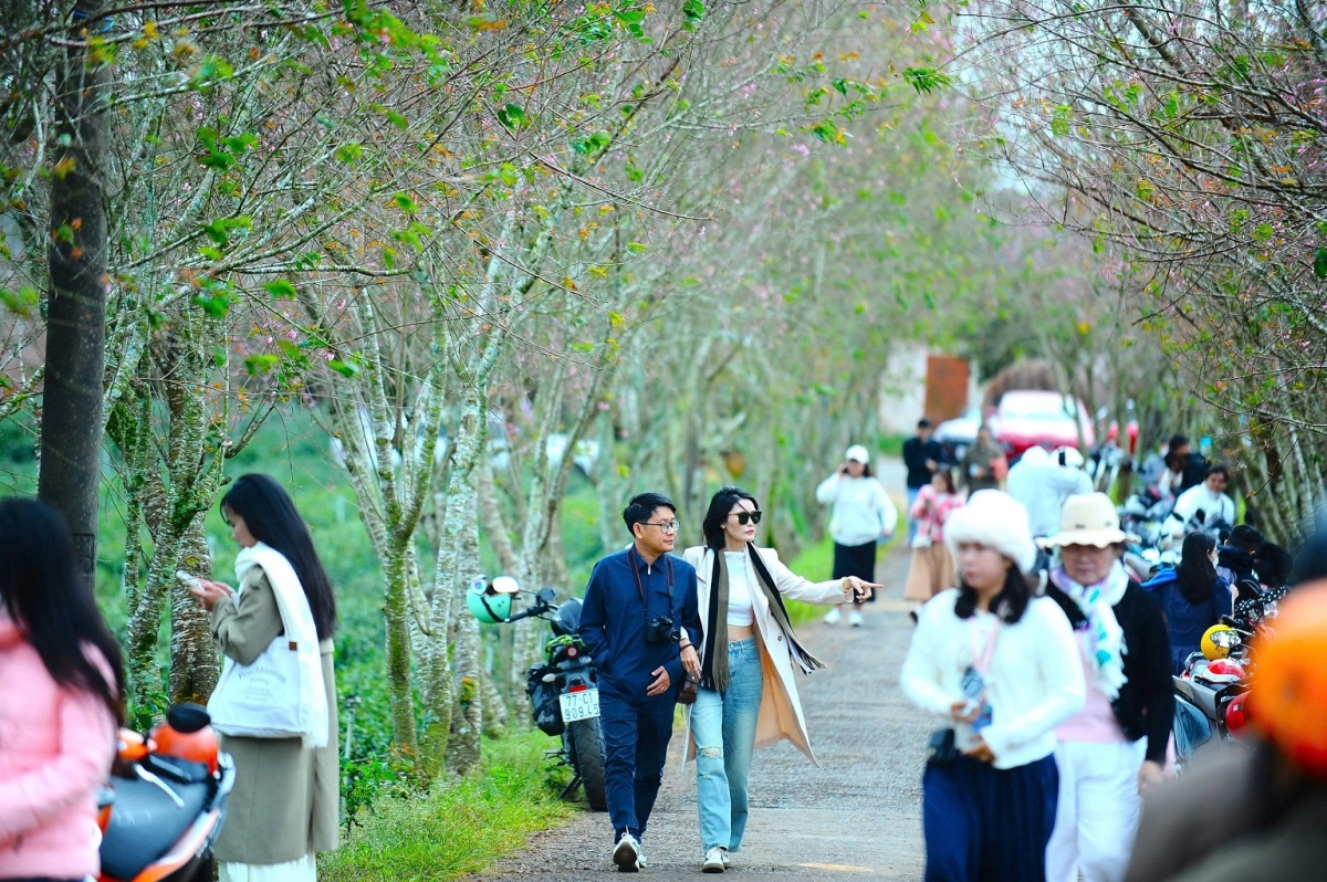 Nac lòt nhơl lòt jơng tàm ală gơl gùng bơkàu tàm Dà Làc