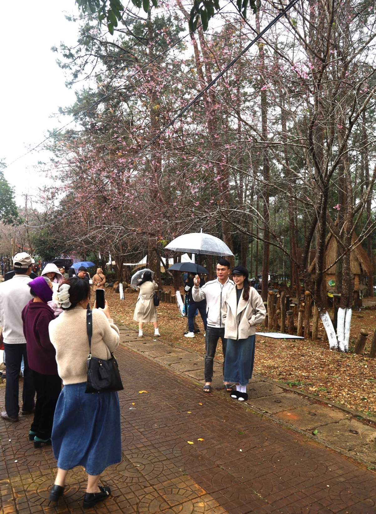 Kơdrâm tơmối ôm hyô check in a kơdrum ngê̆ thuât Măng Deang