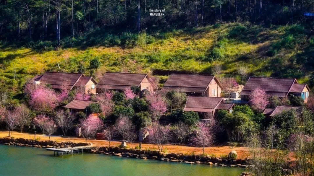 Sa anih čuă ngui ƀơi Măng Đen, Quảng Ngãi